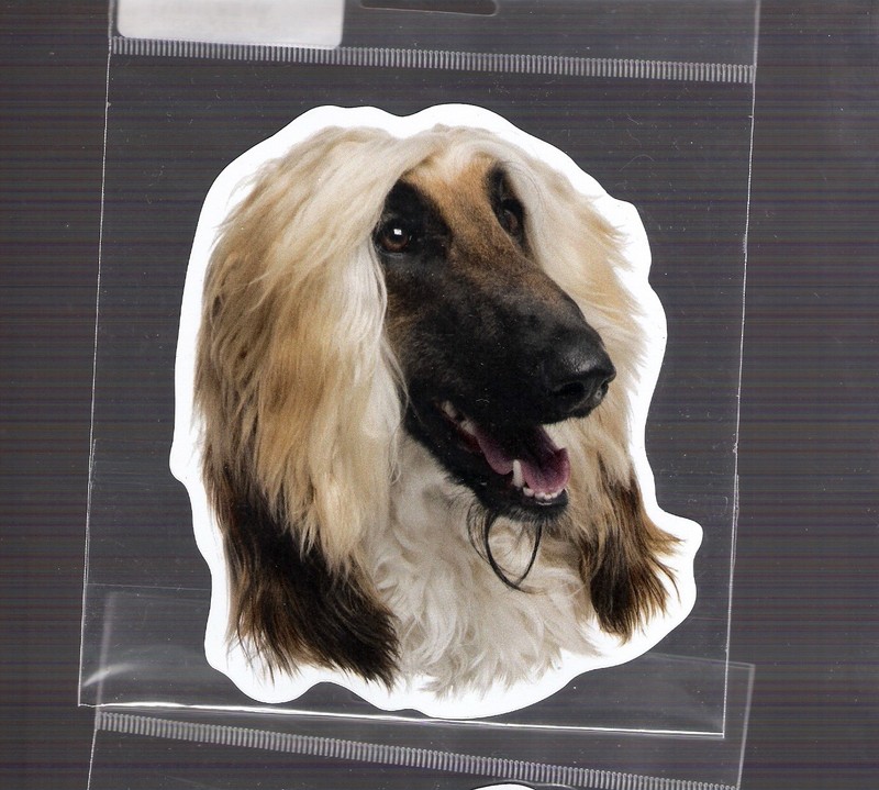 Afghan  4 inch face magnet for anything metal