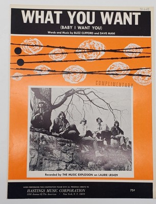 C278/ The Music Explosion USA Popband Notenblatt ''What you wan''  Grades