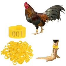 100-Pack Chickens Leg Bands, 16 mm Plastic Chicken Leg Rings Yellow 