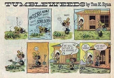 Tumbleweeds by Tom Ryan - 1st year!  Lot of 5 color Sunday comic pages late 1967