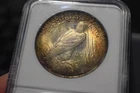 1923 Peace Silver Dollar,  Terminal/Target Toned, NGC MS 64 (Updated Photos)