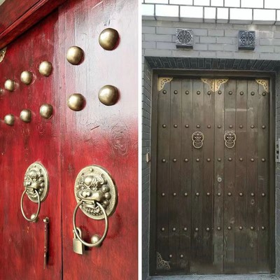 Klassischer Biestkopf Design Messing Türklopfer Elegant Touch für jede Haustü