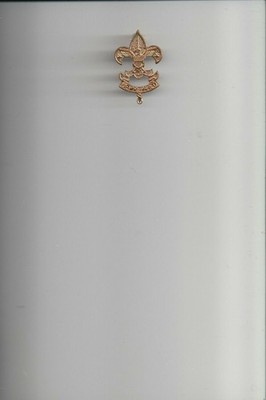 HP1470 First Class Pin