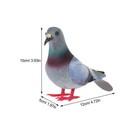 Bild 6 von 11