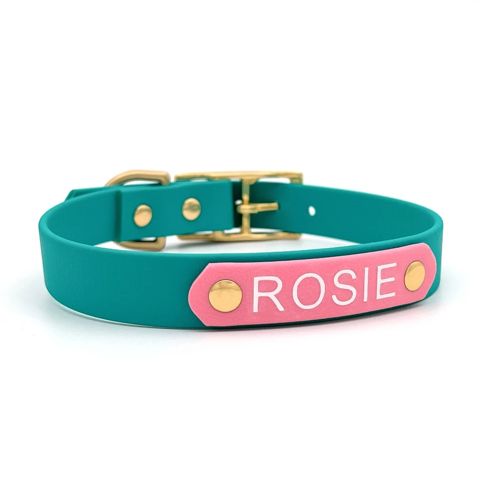Custom Biothane Dog Collar – Solid Brass & Name Tag – Waterproof & Durable - Image 2 of 4