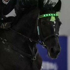 LED Luminous Browband Horse Headband Winter Dark Night Reflective Riding Safety