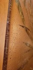 Bild 7 von 16