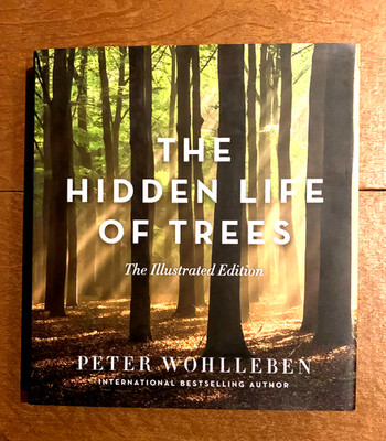 Hidden Life of Trees, Hardcover by Wohlleben, Peter; Billinghurst, Jane (TRN)...
