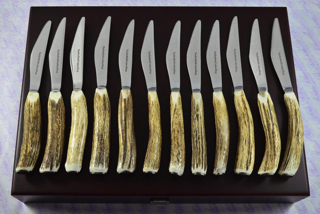 12 Twelve New Serrated Genuine Stag/Antler Steak/Grill Knives Sheffield Cased