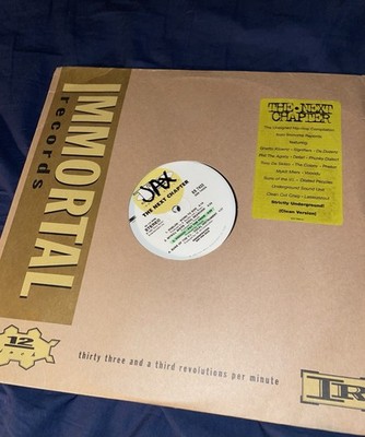 THE NEXT CHAPTER 1993 BLUE VINYL 2X LP PROMO COMPILATION HIP HOP EX Unsigned