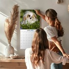 Bild 2 von 8