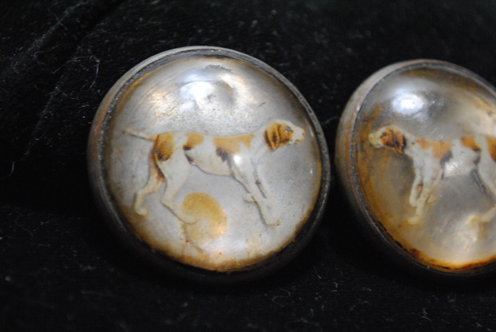 Antique Pair of Reverse Painted Hunting Dogs Glass Horse Bridle Rosettes