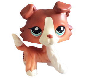 lps collie 1542
