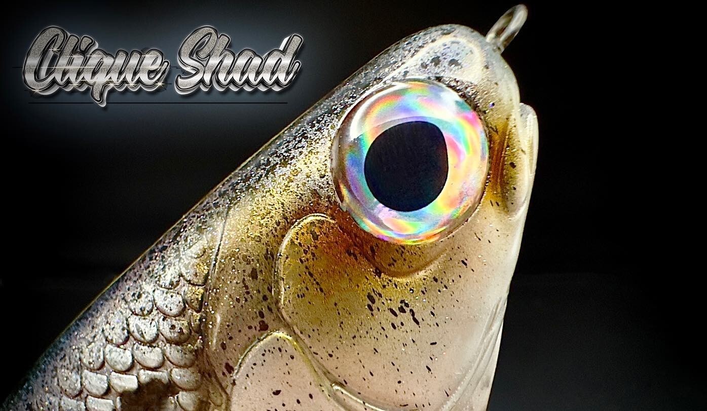 HINKLE SHAD CLONE CUSTOM PAINTED SHAD 9" SWIMBAIT CLIQUE SHAD MUST SEE! 🔥 - Image 4