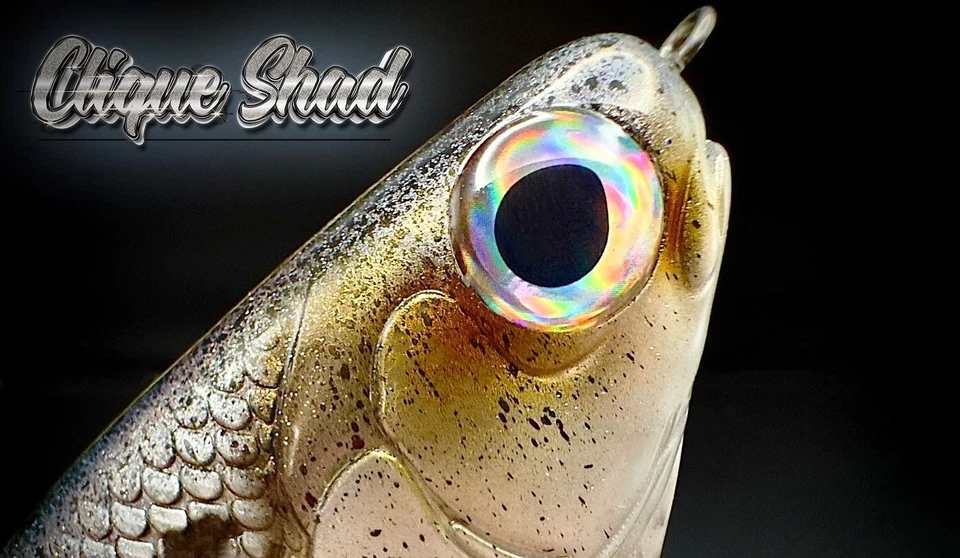 HINKLE SHAD CLONE CUSTOM PAINTED SHAD 9" SWIMBAIT CLIQUE SHAD MUST SEE! 🔥 - Image 4 of 4