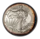 2006 1 oz Silver American Eagle - Colorful Rim Toning - BU - SKU-E3305