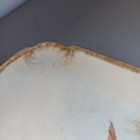 Picture 9 of 21