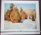 SIGNED Print by Clyde Aspevig "Winter Junipers" #141/190 — photo 4