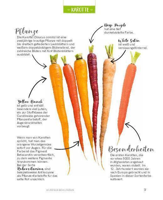 Thumbnail - Eliana Ferioli | Regrowing - Neue Triebe Aus Obst- Und Gemüseresten |