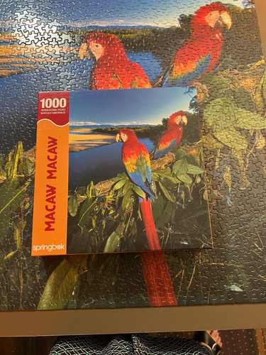 Macaw Macaw, Springbok Puzzle, 1000 pieces, 2003, complete - 第 2/2 張圖片