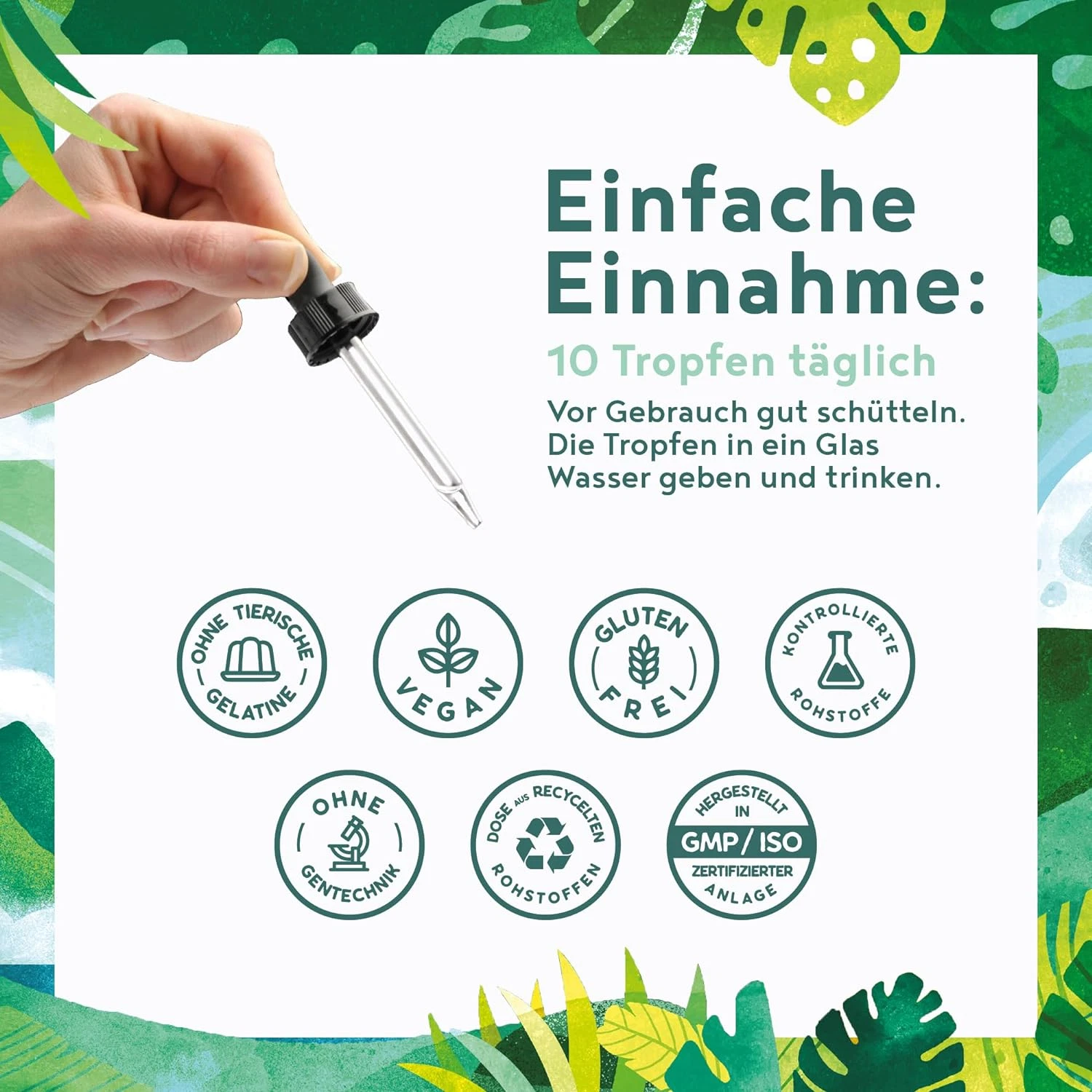 Bild 5 von 10