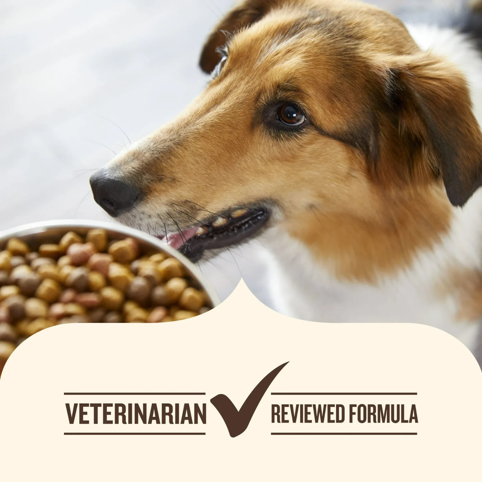 (2 pack) Nutrish Daily Immune Support Dry Dog Food with Chicken,Salmon,13 lb Bag