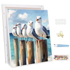 Framed Paint by Numbers Kits for Adults Animals Seagulls, DIY Acrylic Paint b