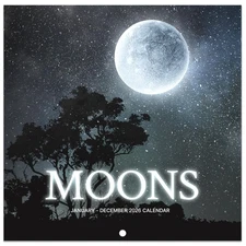 2026 Wall Calendar - Calendar 2026, January 2026 - December 2026, 12'' × 24''...