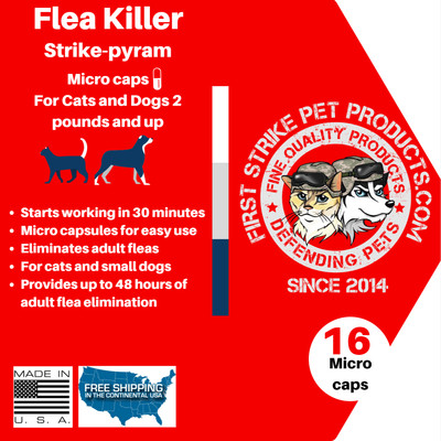 fast flea killer for dogs