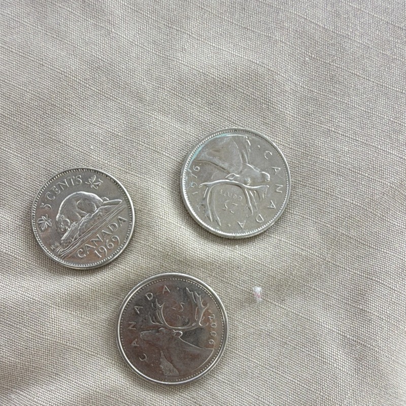 Canada $1 Dollar Coin 1969 - Ungraded Uncertified Canadian One Dollar Coin