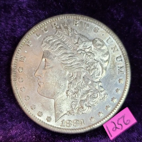 VIDEO🔥BEAUTIFUL 👀🔥1881-S MORGAN DOLLAR MS NEAR PROOF-LIKE GEM BU 1256