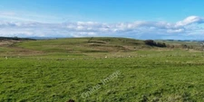 Photo 6x4 Carswell Hill Gabroc Hill View from minor road across sheep gra c2011