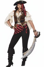 Renaissance Pirate Beauty Adult Costume