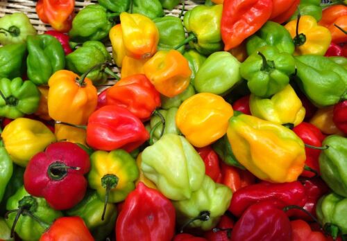 60 HOT & SPICY CHILLI SEEDS MIX-GROW YOUR OWN VEGETABLES-GARDEN SPICE PLANTS - Picture 2 of 20