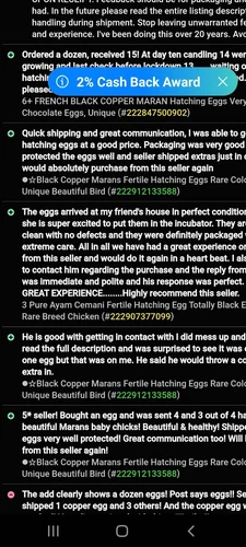 ●6 Fresh Ayam Cemani Hatching Egg-Rarest Chicken on the Planet Organic Pure