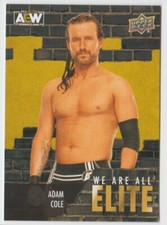 2023 Upper Deck AEW We Are All Elite #AE13 Adam Cole