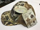 Foto 2 di 4