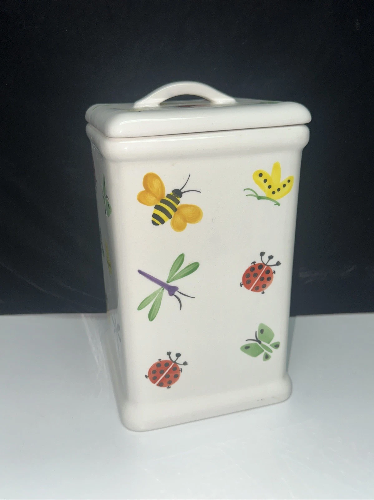 Frank Richman HUG BUG Canister Bee Ladybug Dragonfly Butterfly 9.5" Medium EUC