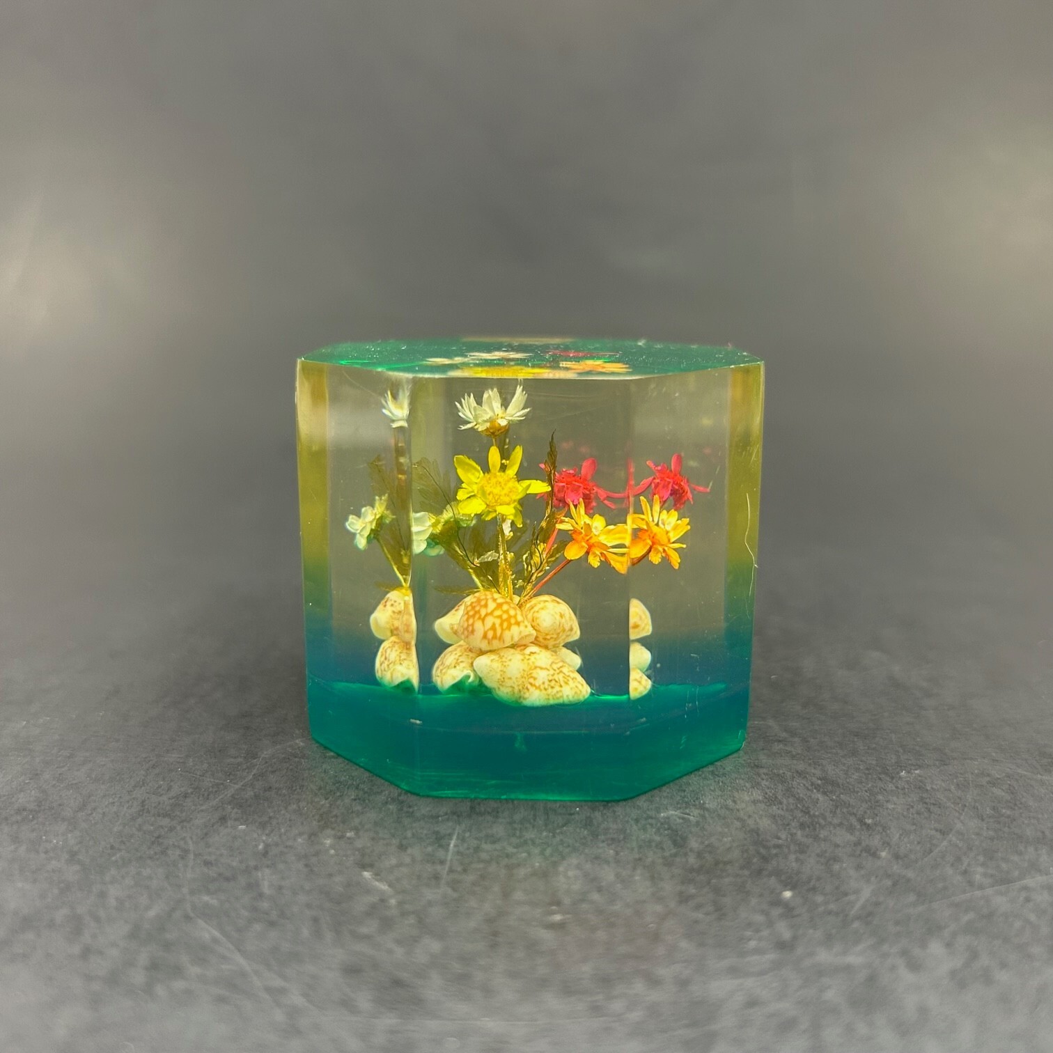 Vtg Lucite Flower and Shell Paperweight Clear with Green Base Made in ...