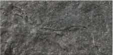 Image of SAMPLE Rustic Stone Effect Tile Porcelain Wall Tile 8 Colours Available