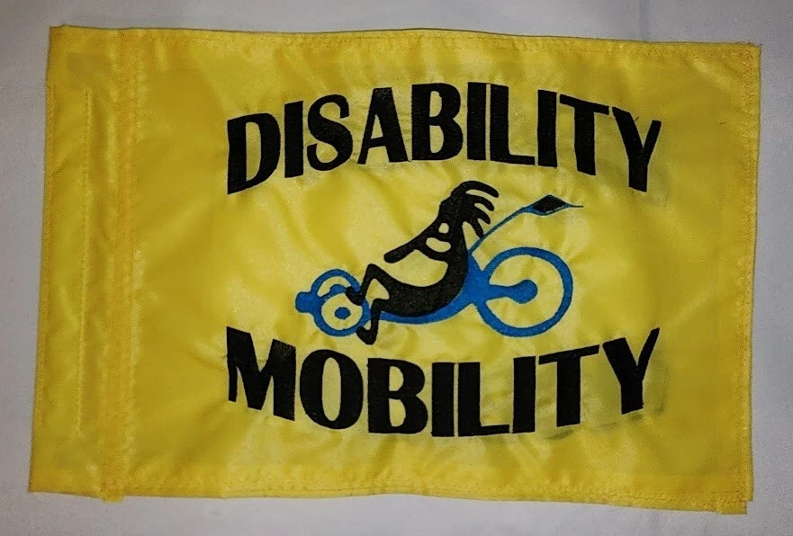 Recumbent trike safety flags 2025
