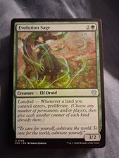 1x Evolution Sage - Commander: Lorwyn Eclipsed - NM  -  MTG