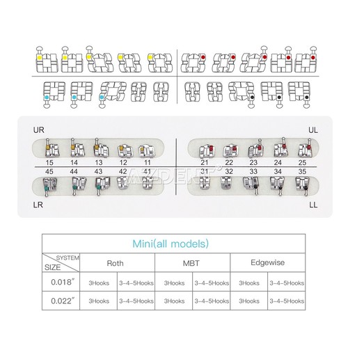 AZDENT Dental Orthodontic Bracket Braces/Niti Arch Wires/Buccal Tubes 022/018 - 第 8/87 張圖片
