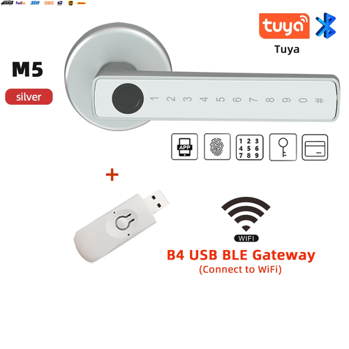 Tuya BLE Fingerprint Door Lock Digital Electronic Lock with Password/Key/Ic Card