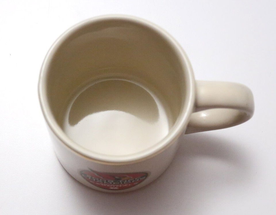 Arizona Cardinals NFL Football 2008 Conference Champions Cup Mug New