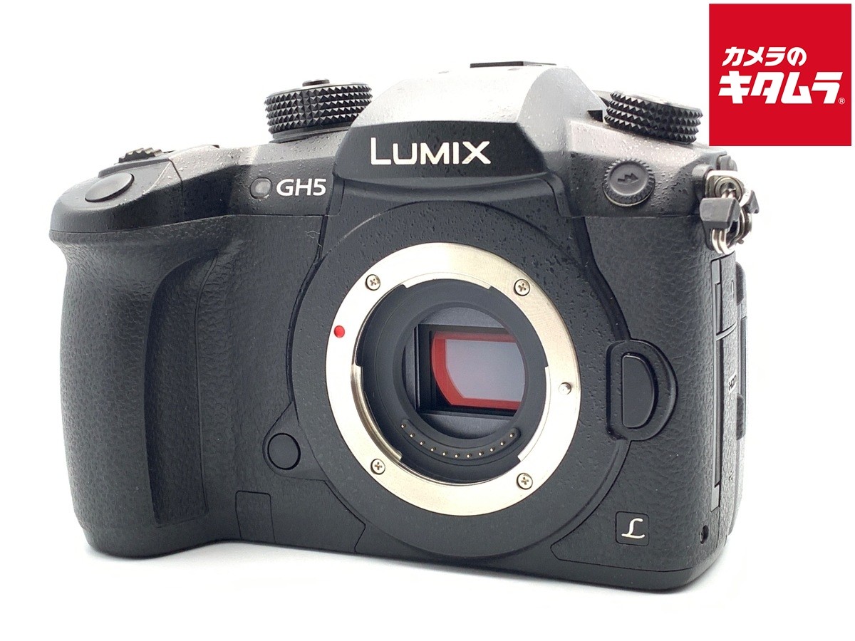 PANASONIC LUMIX DC-GH5-K BODY BLACK -Near Mint- 9094 | eBay