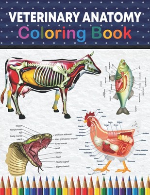 Veterinary Anatomy Coloring Book: Introduction to Veterinary A .