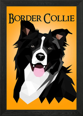 Border Collie gerahmtes Wandbild Poster Leinwanddruck Bild