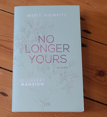 Lyx Merit Niemeitz No Longer Yours Mulberry Mansion 1 Taschenbuch Roman 2022