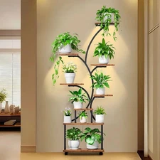 62" Indoor Plant Stand with  Grow Lights 8 Tiered Display Shelf for Home Garde